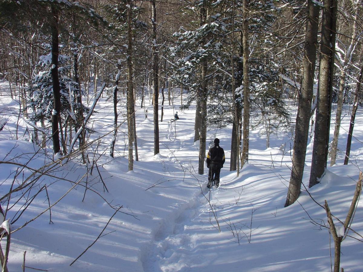 Gite Aventures Quebec Sainte Brigitte de Laval Kültér fotó